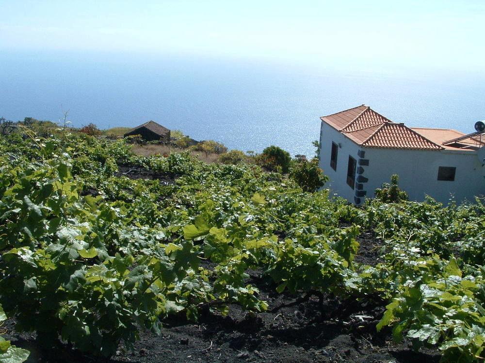 Casa las Las Viñas Fuencaliente de la Palma Exterior foto